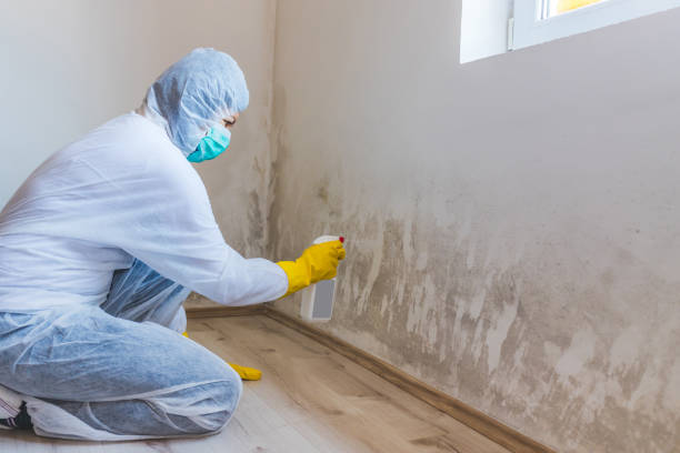 Licensed Crawl Space Mold Removal service in Highlands, NJ - WQB Mold Removal