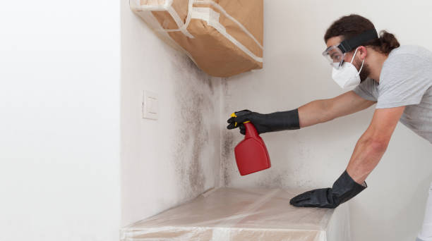 Professional Crawl Space Mold Removal technician working in Highlands, NJ