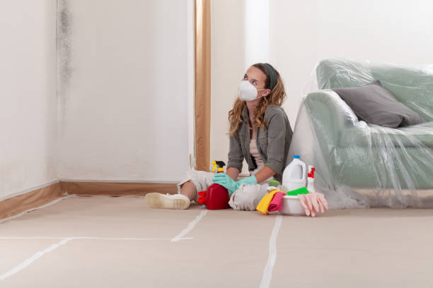 Reliable Crawl Space Mold Removal contractor in Highlands, NJ by WQB Mold Removal