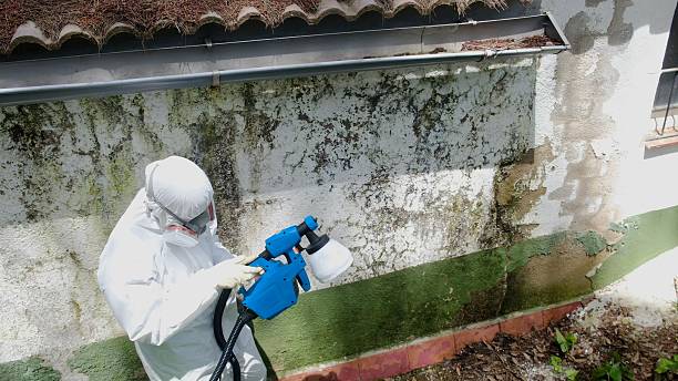 Top rated local Crawl Space Mold Removal specialists in Highlands, NJ
